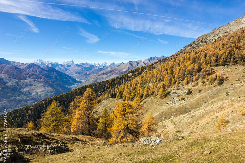 Panorama autunnale in montagna