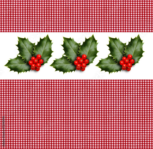 Stechplame mit Karostoff