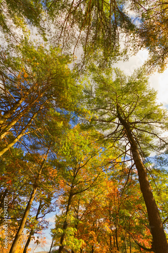 Colorful fall scenery landscapes. © andreiorlov