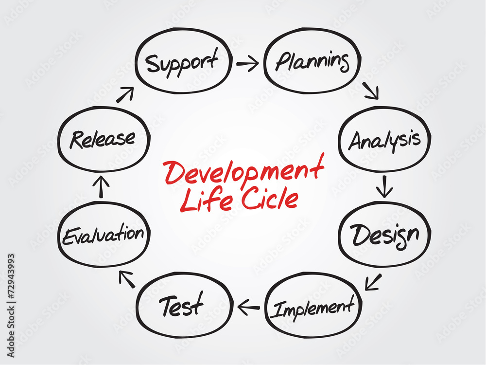 Circular vector flow chart of life cycle development process Stock ...