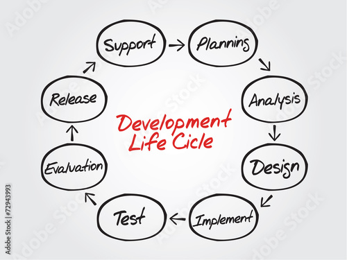 Circular vector flow chart of life cycle development process