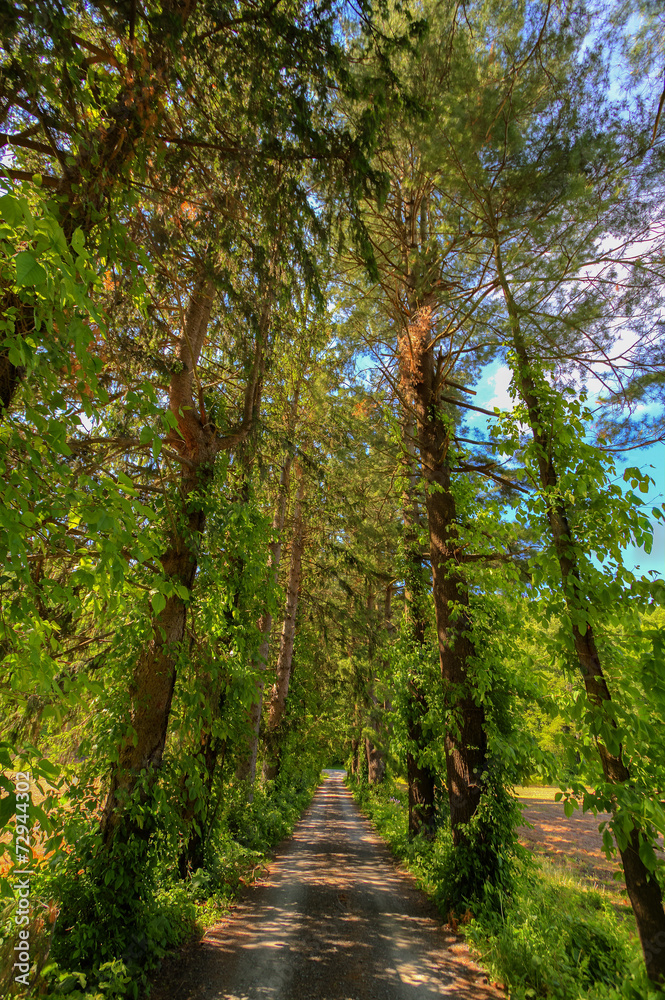 Obraz premium Colorful Fall scenery views.