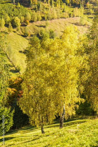 Fototapeta Naklejka Na Ścianę i Meble -  Countryside landscape in a romanian villlage