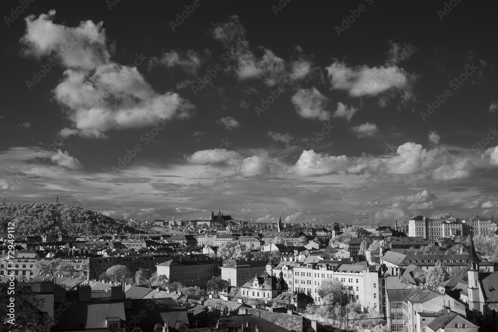 Prague skyline with St. Vitus Cathedral in the background