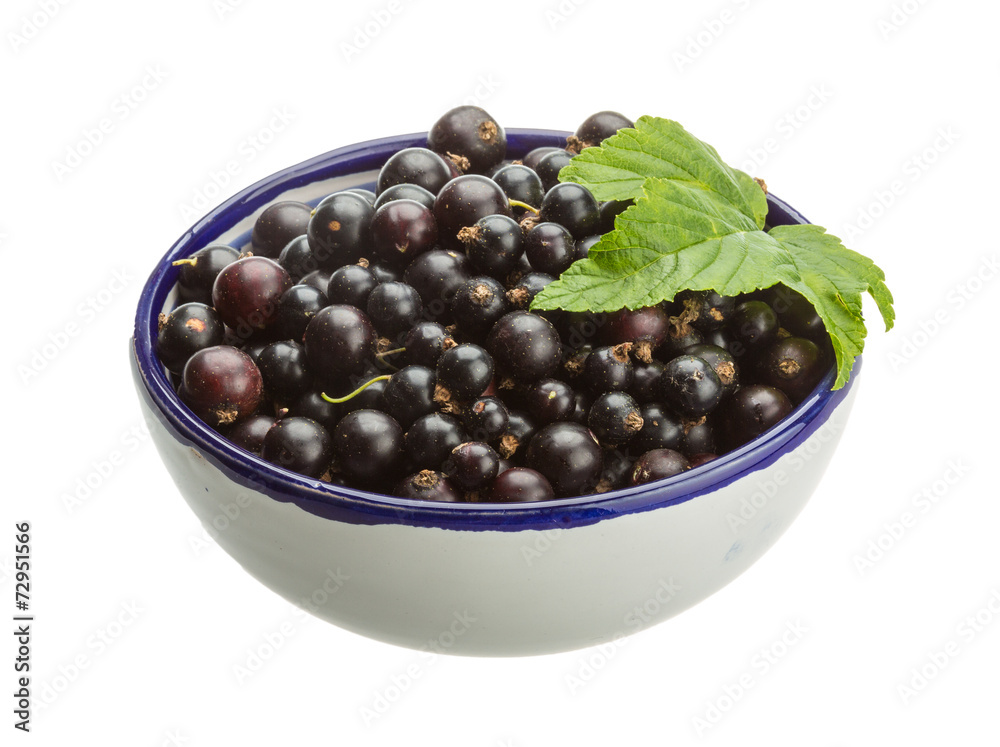 Black currant Black currant