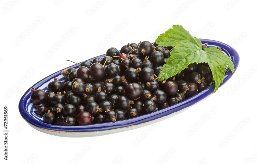 Black currant Black currant