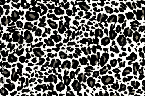 Animal Print Texture