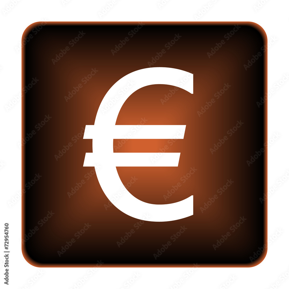 Euro icon