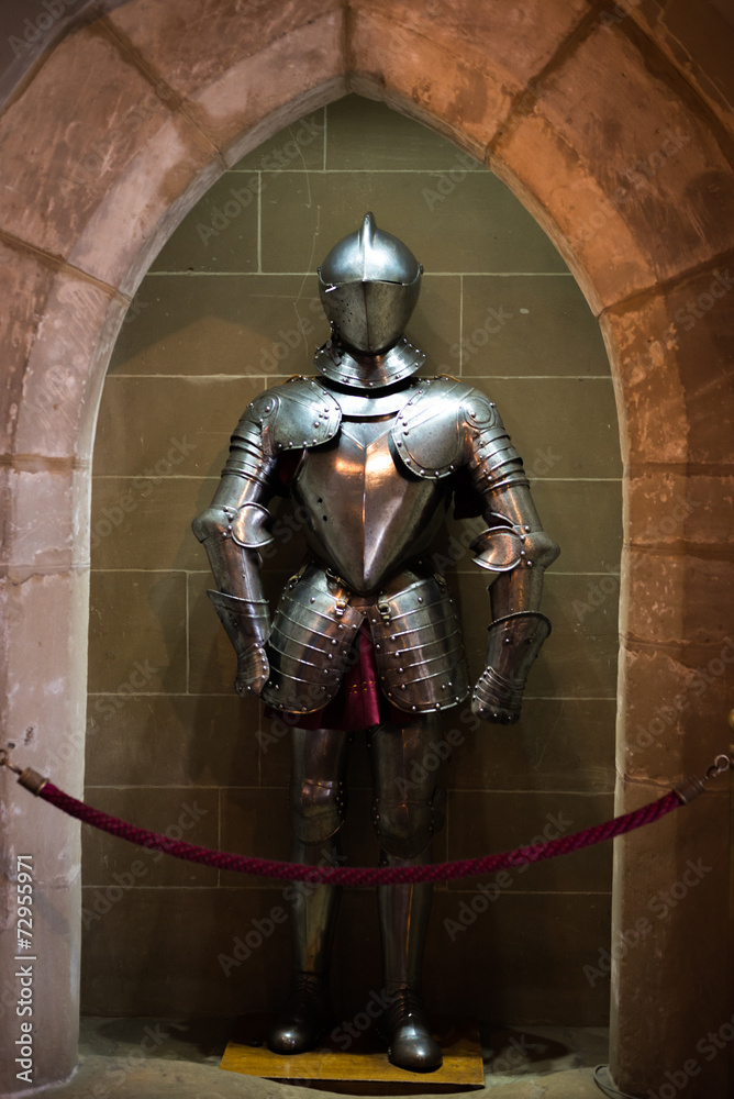 The knight The knight