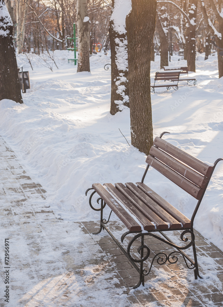 Benches in the winter city park