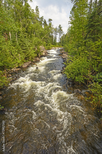 Dramatic Rapids in a Wilderness River