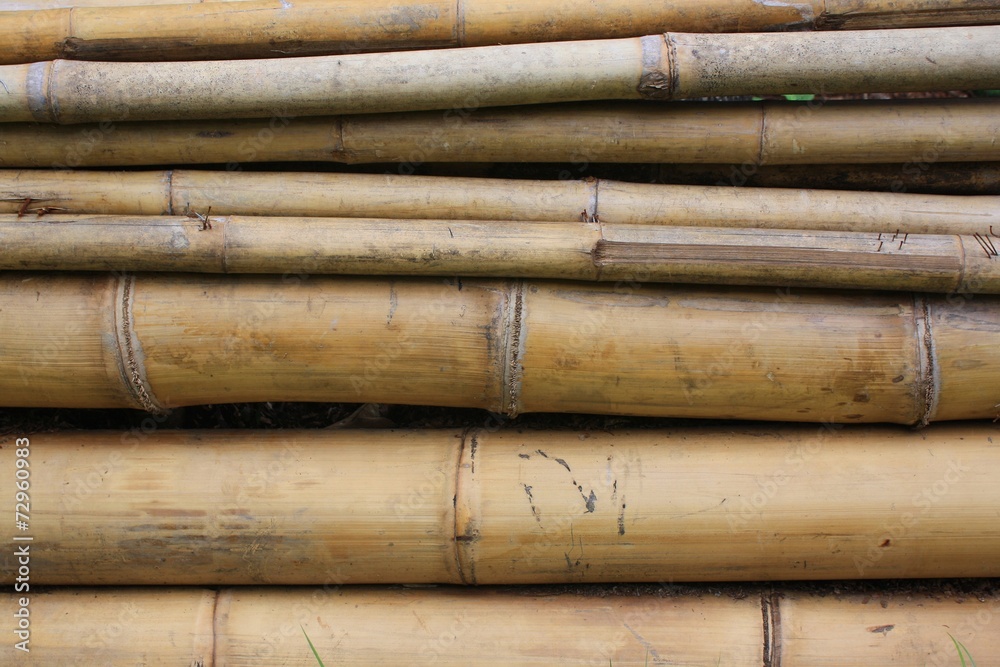 bamboo bamboo