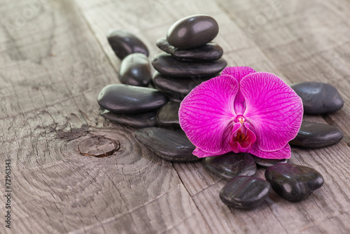 Moth orchid and black stones on weathered deck