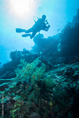 Diver and feather black coral in Derawan, Kalimantan underwater