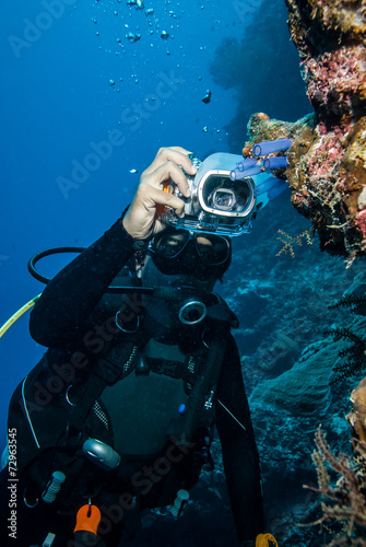 Diver taking picture tunicates in Derawan, Kalimantan underwater