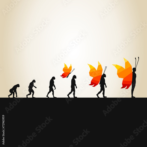 Evolution in the butterfly