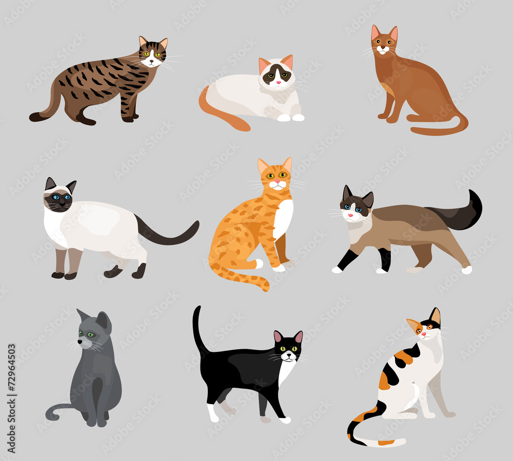 Set of cute cartoon kitties or cats