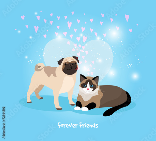 Cat and Dog Friends