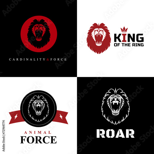 Fototapeta Naklejka Na Ścianę i Meble -  Lion Logo Graphic Designs