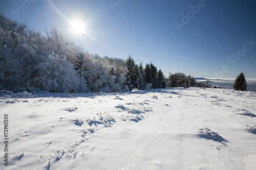winter landscape © Igor Syrbu