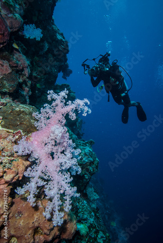 Diver and soft coral in Derawan, Kalimantan underwater