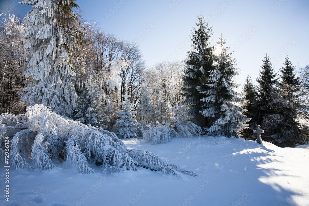 winter winter