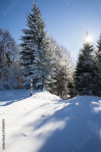 winter © Igor Syrbu