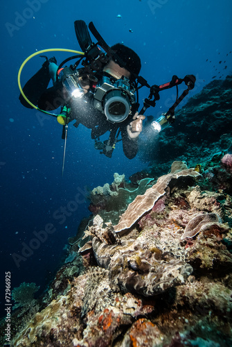 Diver and crocodilefish in Derawan, Kalimantan underwater