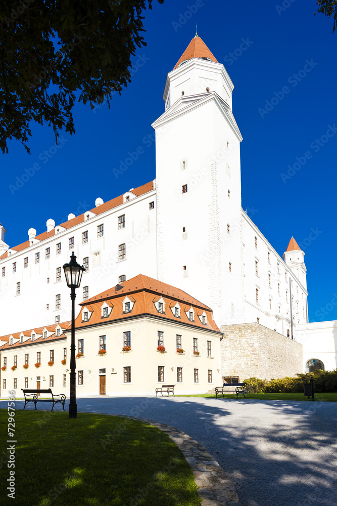 Obraz premium Bratislava Castle, Slovakia
