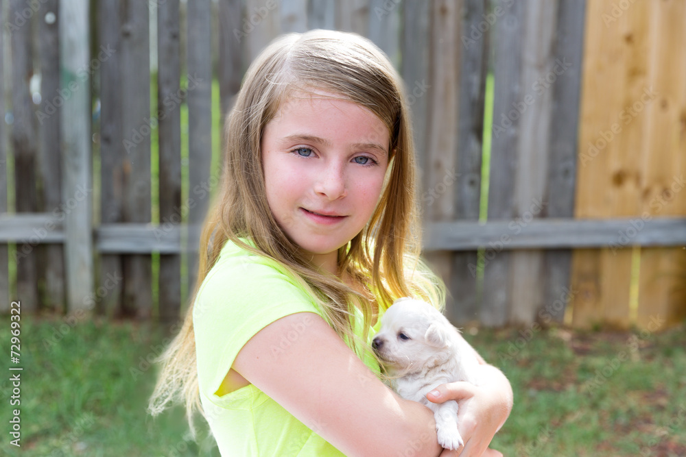 Blond kid girl with puppy pet chihuahua playing Blond kid girl with puppy pet chihuahua playing