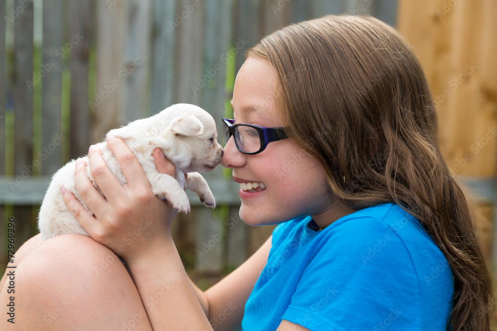 kid girl with puppy pet chihuahua playing happy kid girl with puppy pet chihuahua playing happy