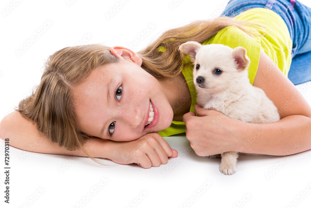 chiuahua puppy dog and kid girl happy together chiuahua puppy dog and kid girl happy together