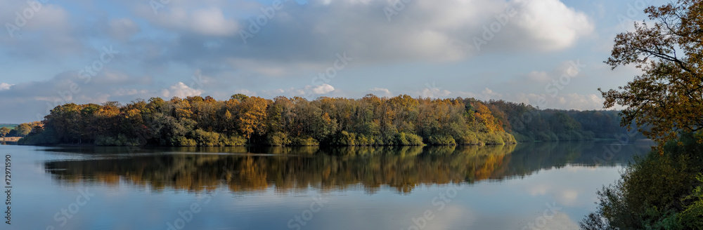 autumn forest and reflection