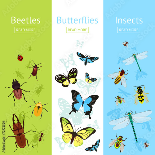 Insects banner set