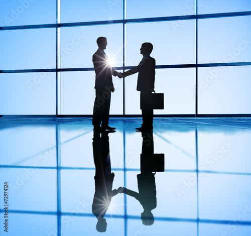 Fotografija Two Businessmen Handshaking in the Office
