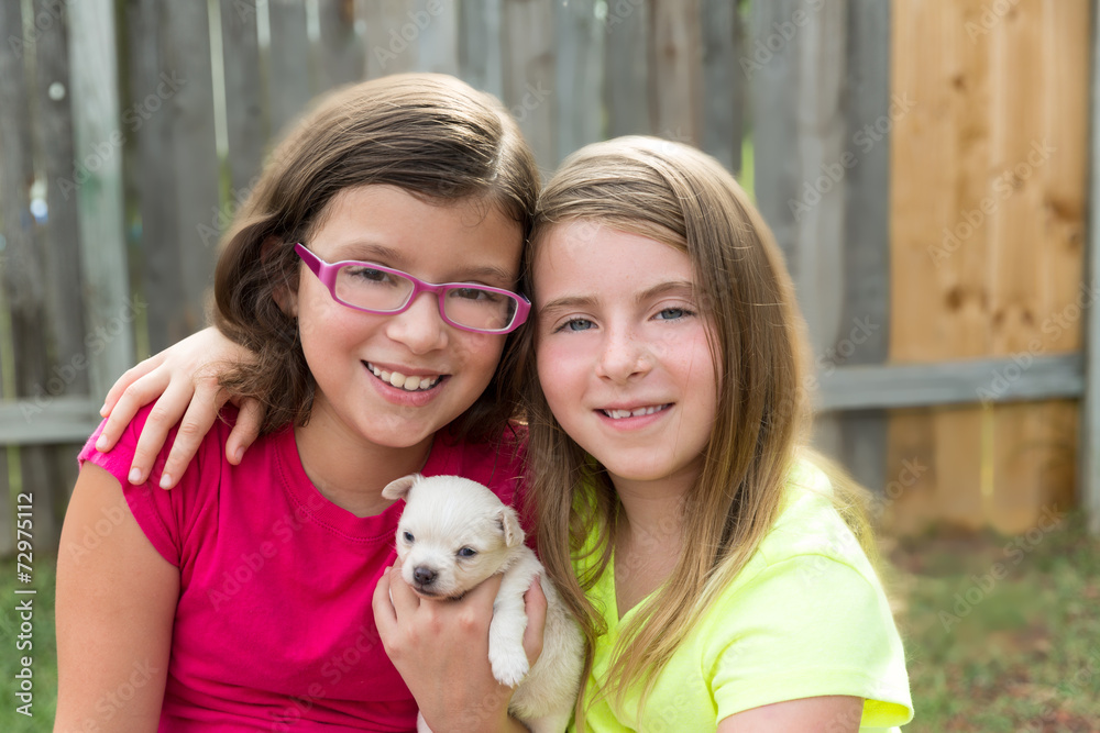 kid girls playing with puppy pet chihuahua kid girls playing with puppy pet chihuahua