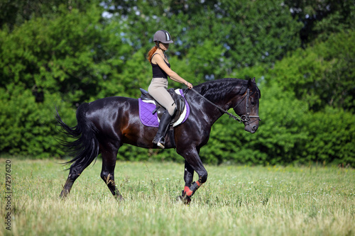 Young beautiful girl on horse walk © horsemen