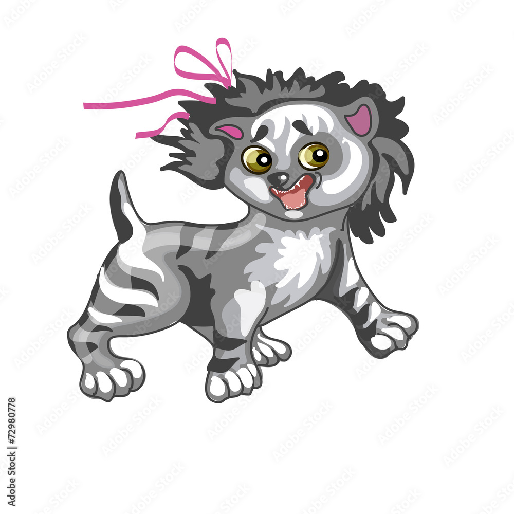 tabby kitten with a pink bow tabby kitten with a pink bow