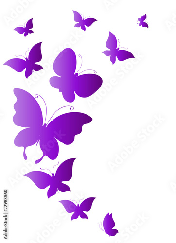 butterflies design