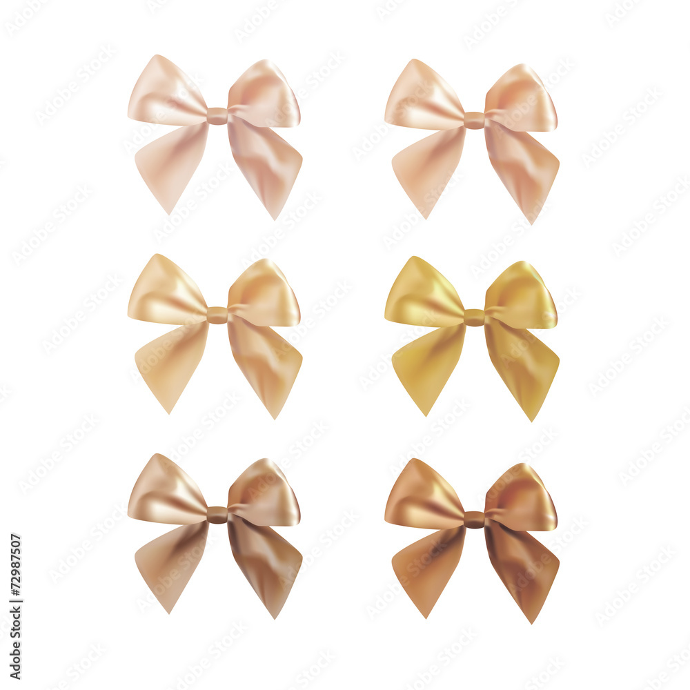 Vector set of satin bows Vector set of satin bows