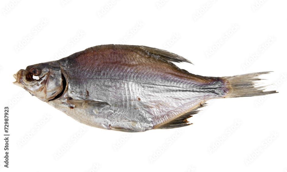 Fototapeta premium dried fish