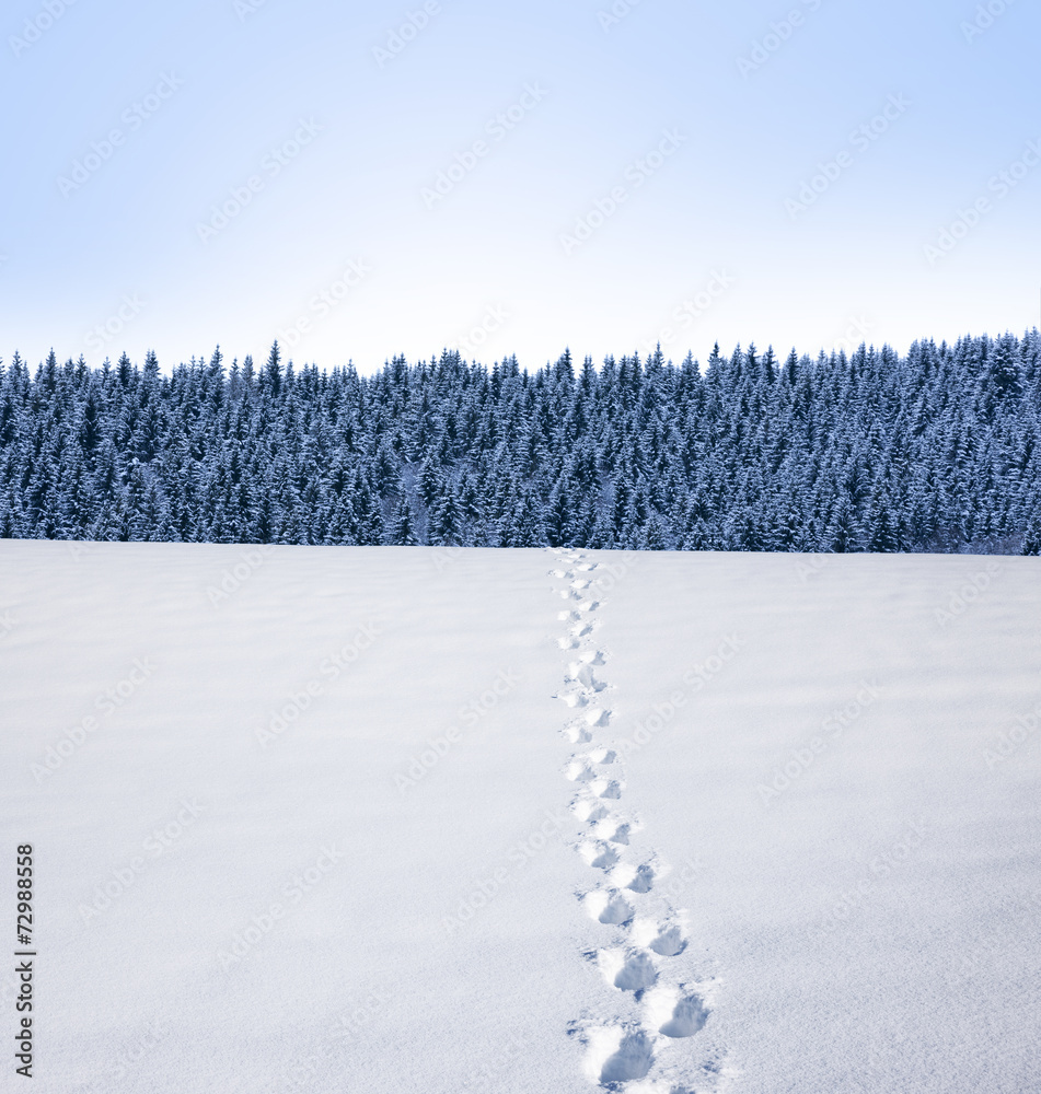 Fußspuren im Schnee Stock-Foto | Adobe Stock