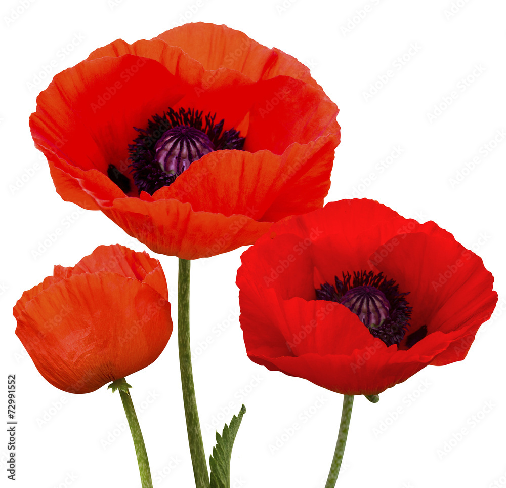 Naklejka premium MAK