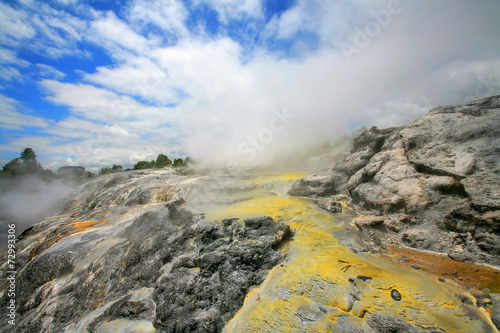 Geyser at Te Puia, thermal valley, Rotorua, New Zealand