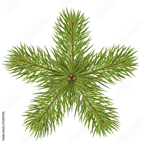 Tannenzweige, Weihnachtsstern, abstrakt, Stern, Star, fir branch