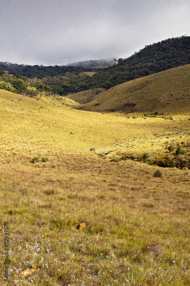 Obraz premium Horton Plains National Park. Sri Lanka