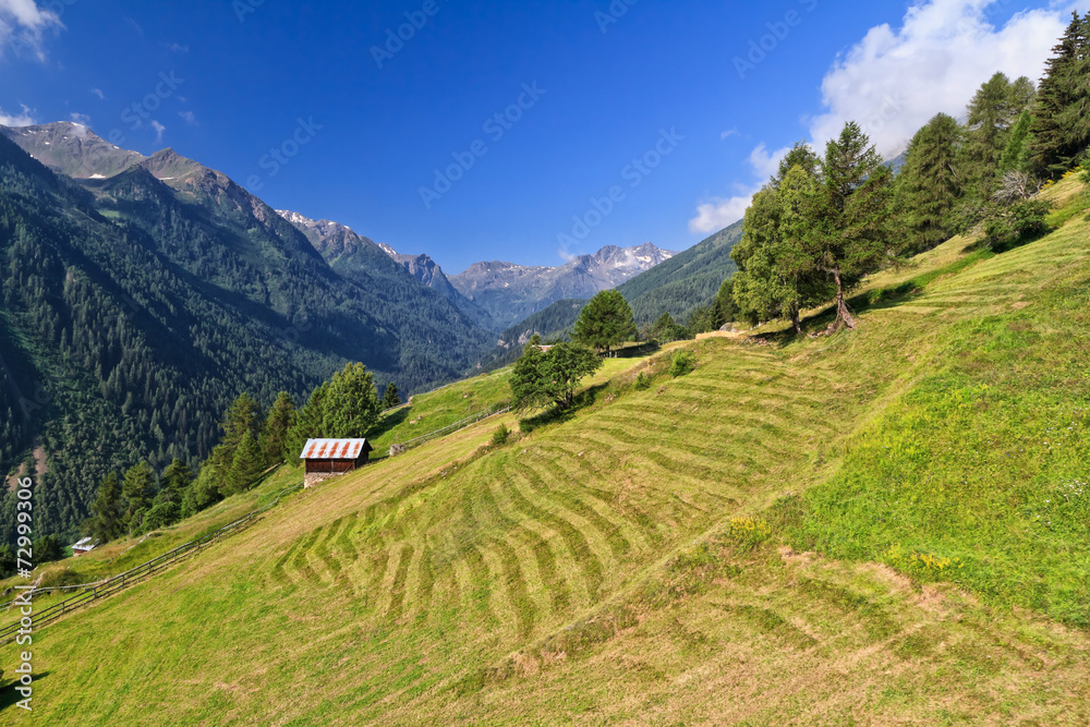 Trentino - Pejo valley, Italy