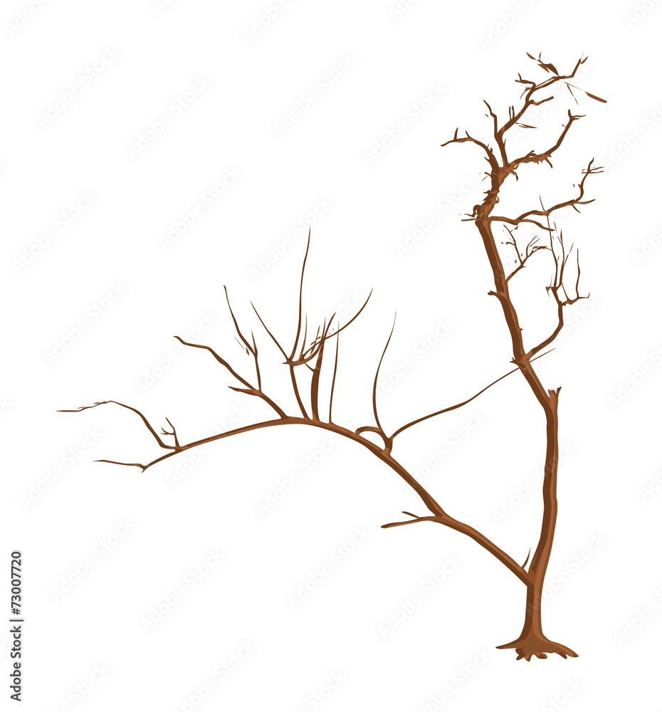 Fototapeta premium Dead Tree Vector Art