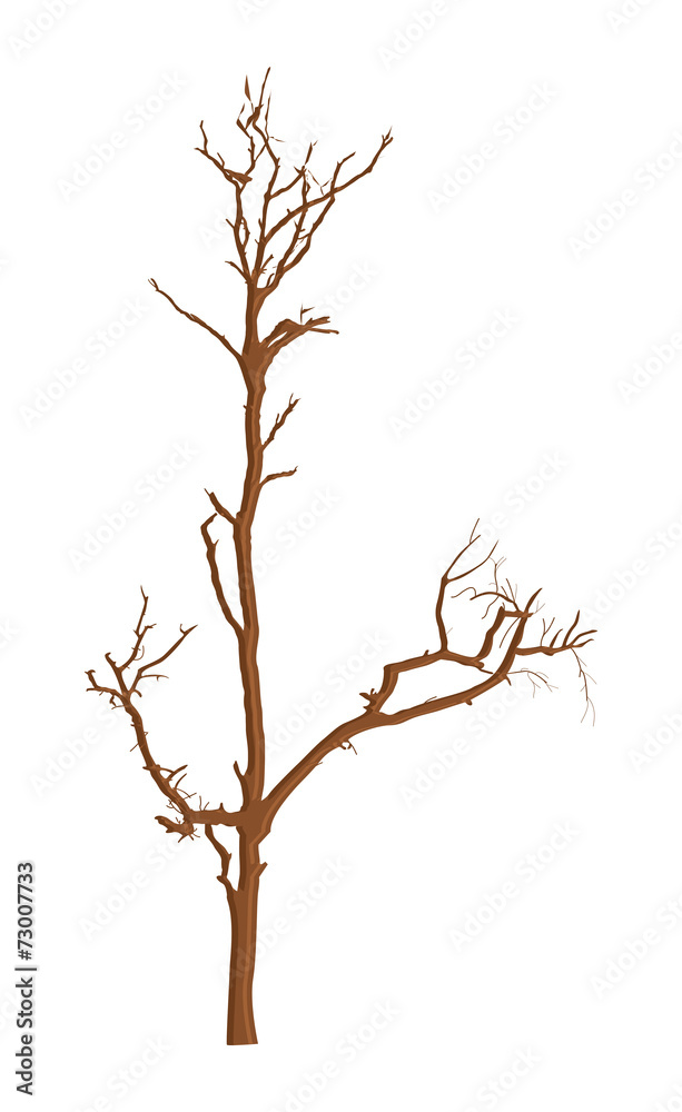 Abstract Dead Tree Background