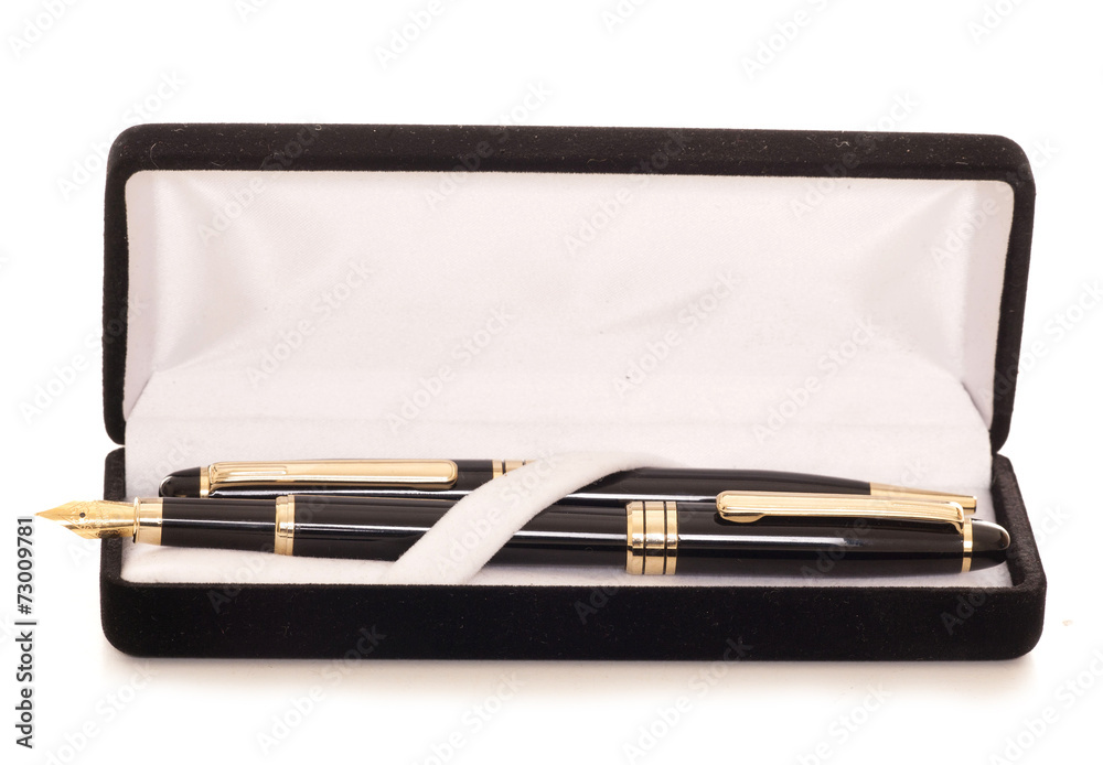 two pens in a case two pens in a case